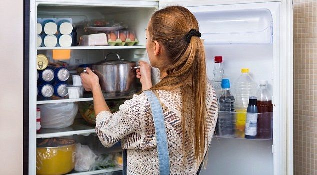 distribucion-refrigerador-2