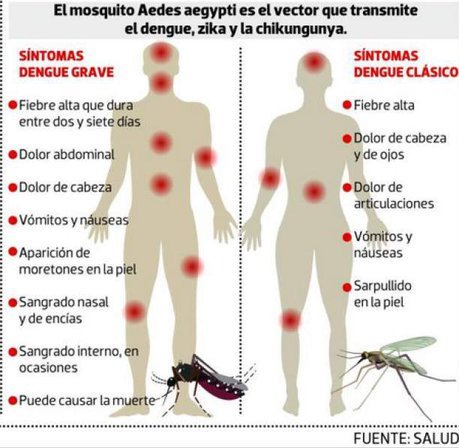 dengue