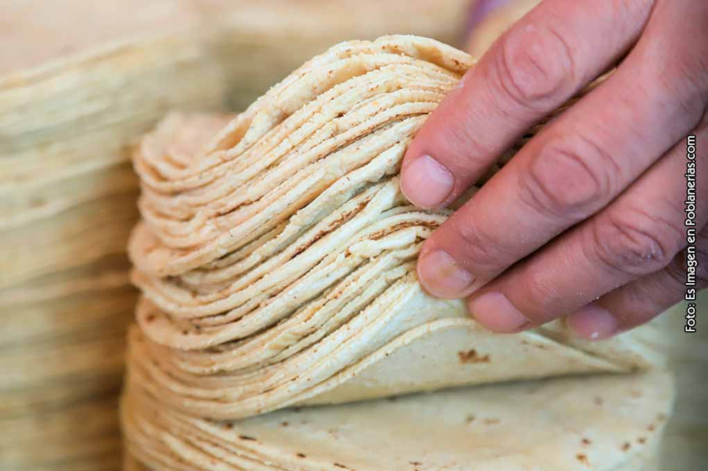 tortillas de harina